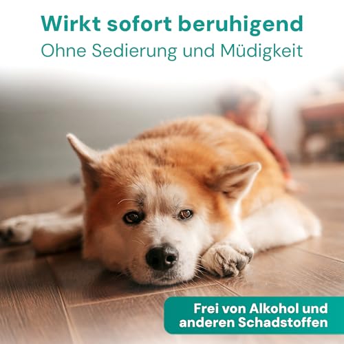 Emmi-pet Remedy Beruhigungstücher 12 STK. – Natürliche Anti-Stress Tücher für Hunde & Katzen I Entspannung & Beruhigung unterwegs I 100 % ätherische Öle I Stress & Angst-Linderung