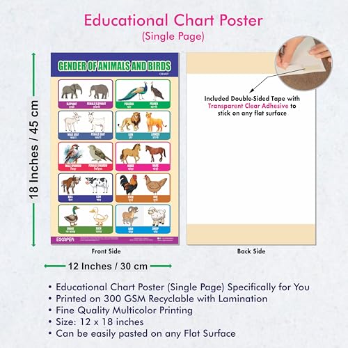 Image of ESCAPER Gender of Animals & Birds Educational Charts for Kids, (11.5 x 17.5 inches), Kids Study Material, Learning Chart, Perfect For Home Schooling, Nursery Students