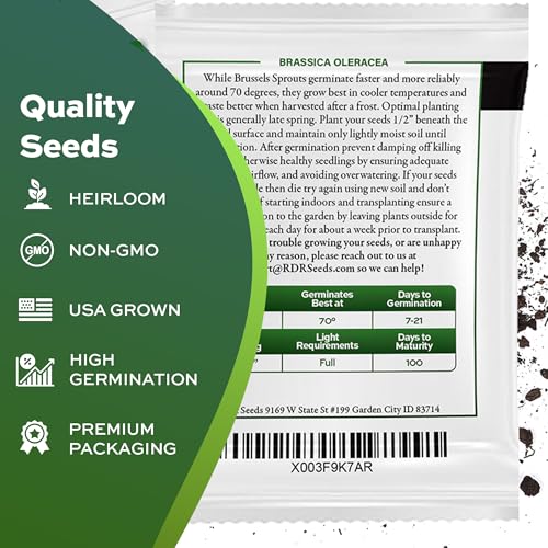 500 Brussel Sprout Seeds for Planting – Catskill (Heirloom, Non-GMO) – USA Grown Vegetable Seeds - Thumbnail 5