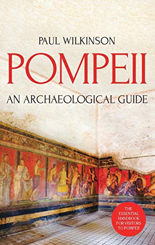 Pompeii: An Archaeological Guide view 2