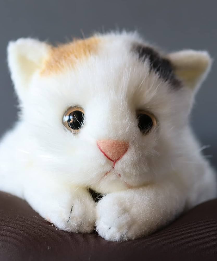 リアルな猫のぬいぐるみ♡お願いにゃんこ♡猫お利口ぬいぐるみ♡まとめ売り♡9体 リアルな猫のぬいぐるみ♡お願いにゃんこ♡猫お利口ぬいぐるみ