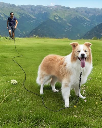 Joytale Schleppleine für Hunde, Starke Hundeleine Große Mittlere Hunde, Reflektierende 5m 10m 15m 20m Lang, Gepolsterter Griff, Abschließbarer Karabiner (Schwarz, 10m)