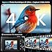 Digitalkamera 4K mit WiFi 64MP Kompakte Digitalkamera mit 3" 180° Flip-Bildschirm, 32GB Karte, 2 Akkus, 16X Digitalzoom, Autofokus, Anti-Shake, Ideal für Teens, Anfänger, Vlogging, Reisen