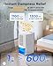 EasyAcc® Deshumidificador 2000ML, 1L Imagen de EasyAcc® Deshumidificador 2000ML, 1L