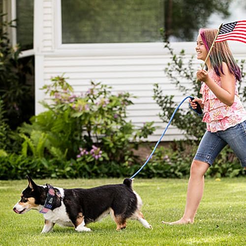 Image of Independence Dog Collar-Adjustable Cute American Flag Pet Collars Holiday Soft Comfortable Cotton Puppy Collar Gift for X-Small Dogs