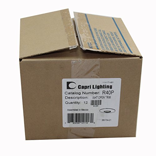 Capri Lighting Product Guide 10 Best Things to Buy from Capri Lighting