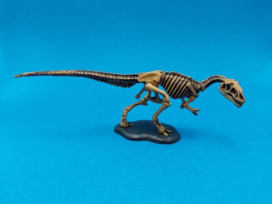 恐竜骨格フィギュア Amazon | BACALYSO | TTwei studio 走竜 龍 骨格 化石 47cm級