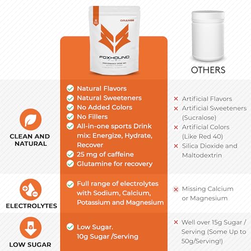 Image of Foxhound Performance Drink Mix | Energy, Hydration, Recovery | Clean Blend of Electrolytes, Vitamins, Carbs and Caffiene for Men and Women | Natural Ingredients | 16 Stick Packs