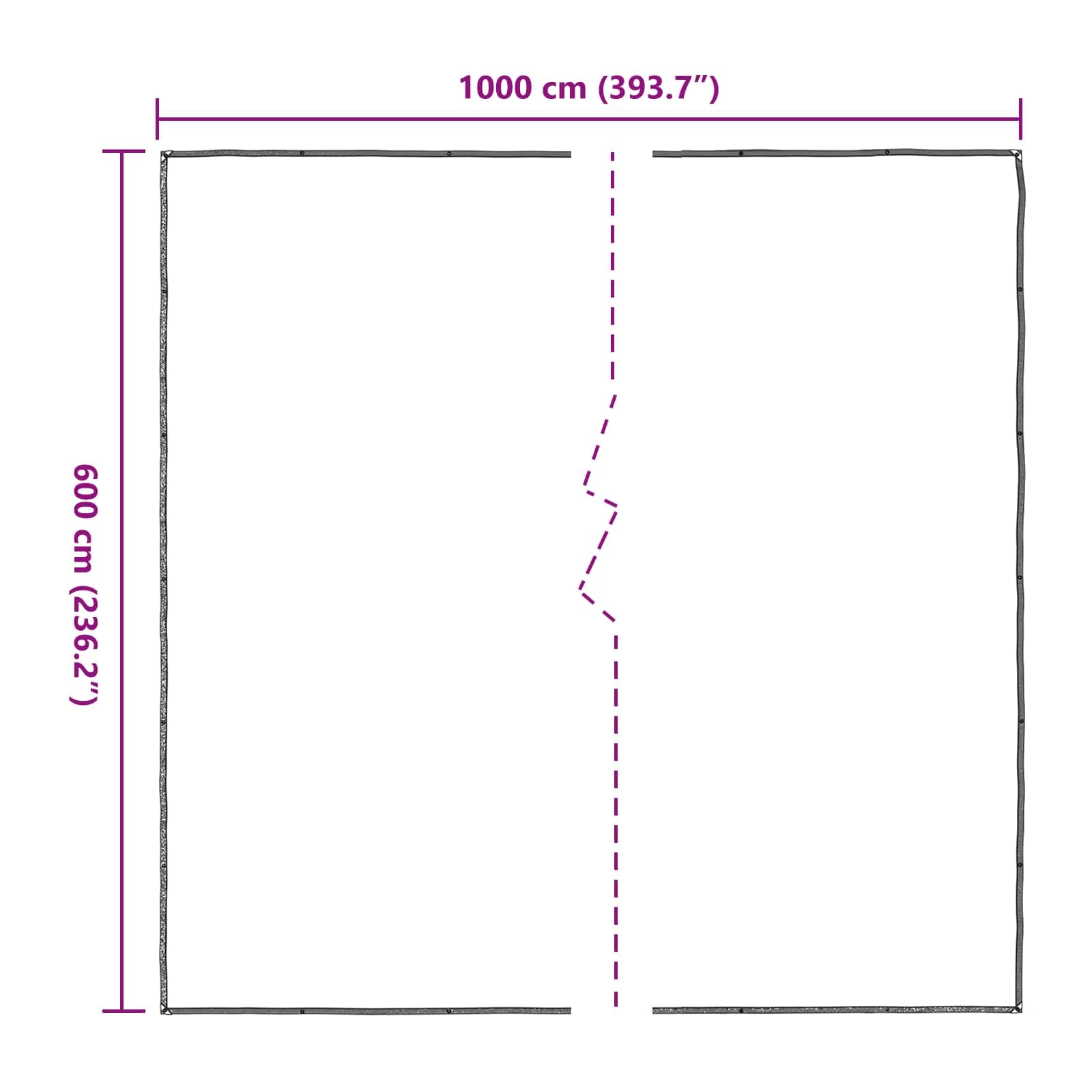 Telo di copertura per piante, trasparente, in polietilene, 6 x 10 m, rettangolare, con occhielli, resistente alle intemperie, per giardino, terrazza, come telo pacciamatura, copertura per