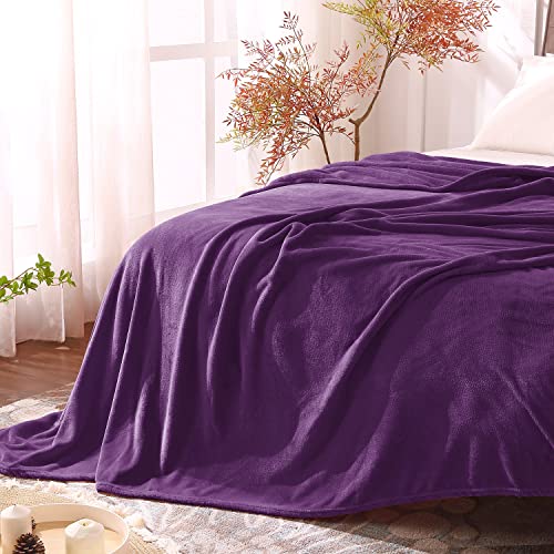 Bedelite Fleece Blankets Purple Throw Blankets For Couch & Bed, Plush Cozy Fuzzy Blanket 50" X 60", Super Soft & Warm Blankets For Spring And Summer #TOP1