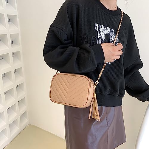 Image of Small Crossbody Purses for Women Quilted Crossbody Shoulder Handbags Trendy Clutch Purse Camera Bag