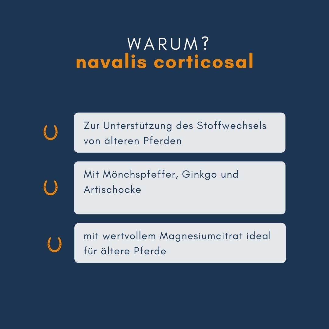 Corticosal Horse Refill worek 2000 g