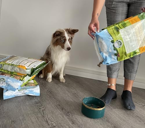 Bellfor Naturfarm-Schmaus Hypoallergenes Getreidefreies Hundetrockenfutter mit Insekten mit hoher Verdaulichkeit ohne tierische Nebenerzeugnisse 2,5 kg
