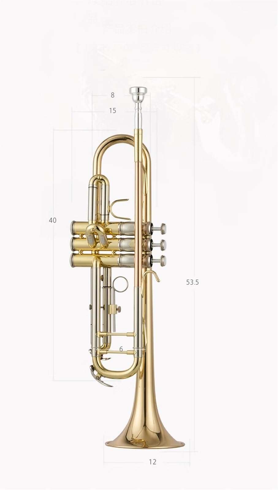 trompeta estándar Instrumento de trompeta Si bemol estudiante toca instrumentos de viento y metal para examen de grado