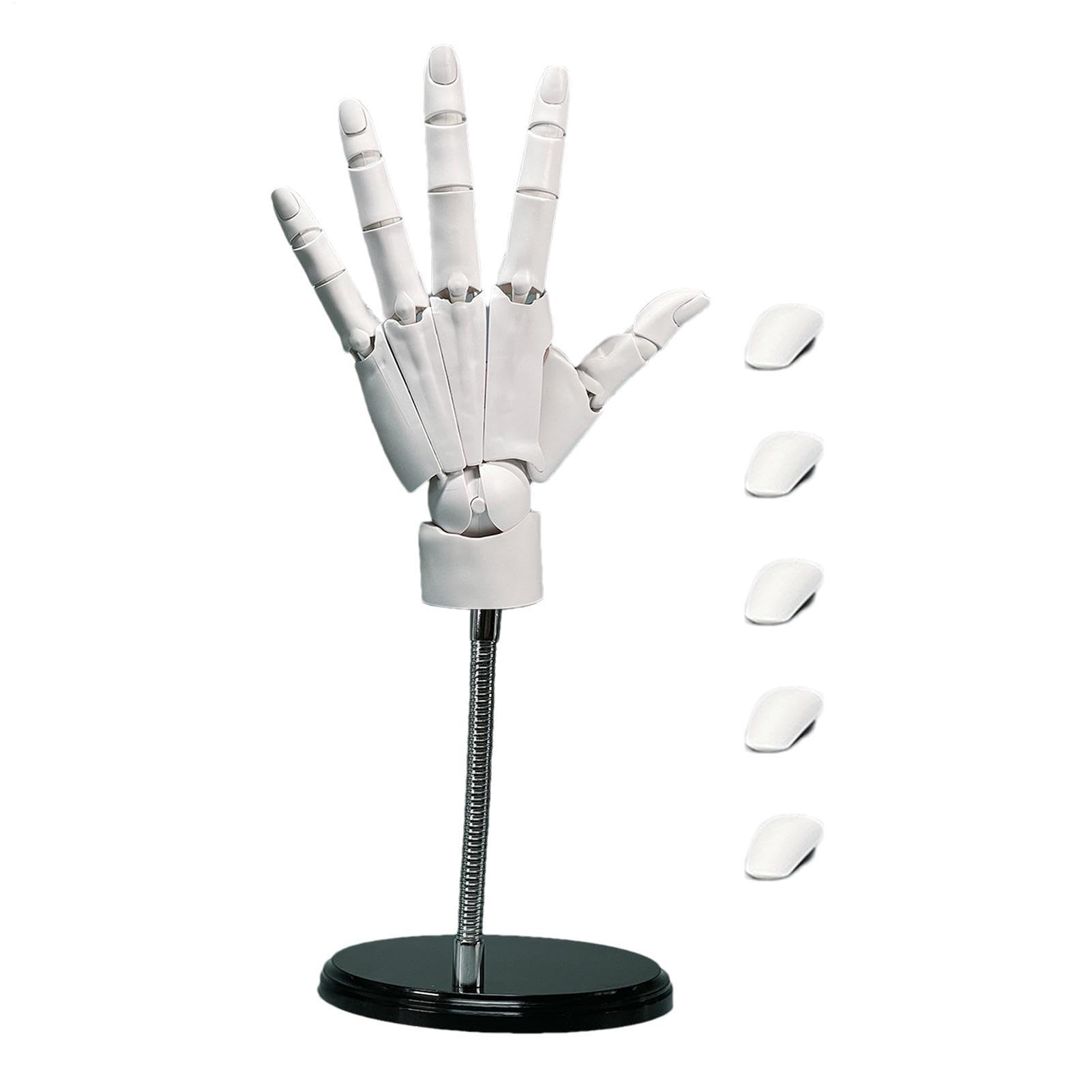 Main Modèle De Dessin Main Mannequin Articulée pour Artiste Dessin