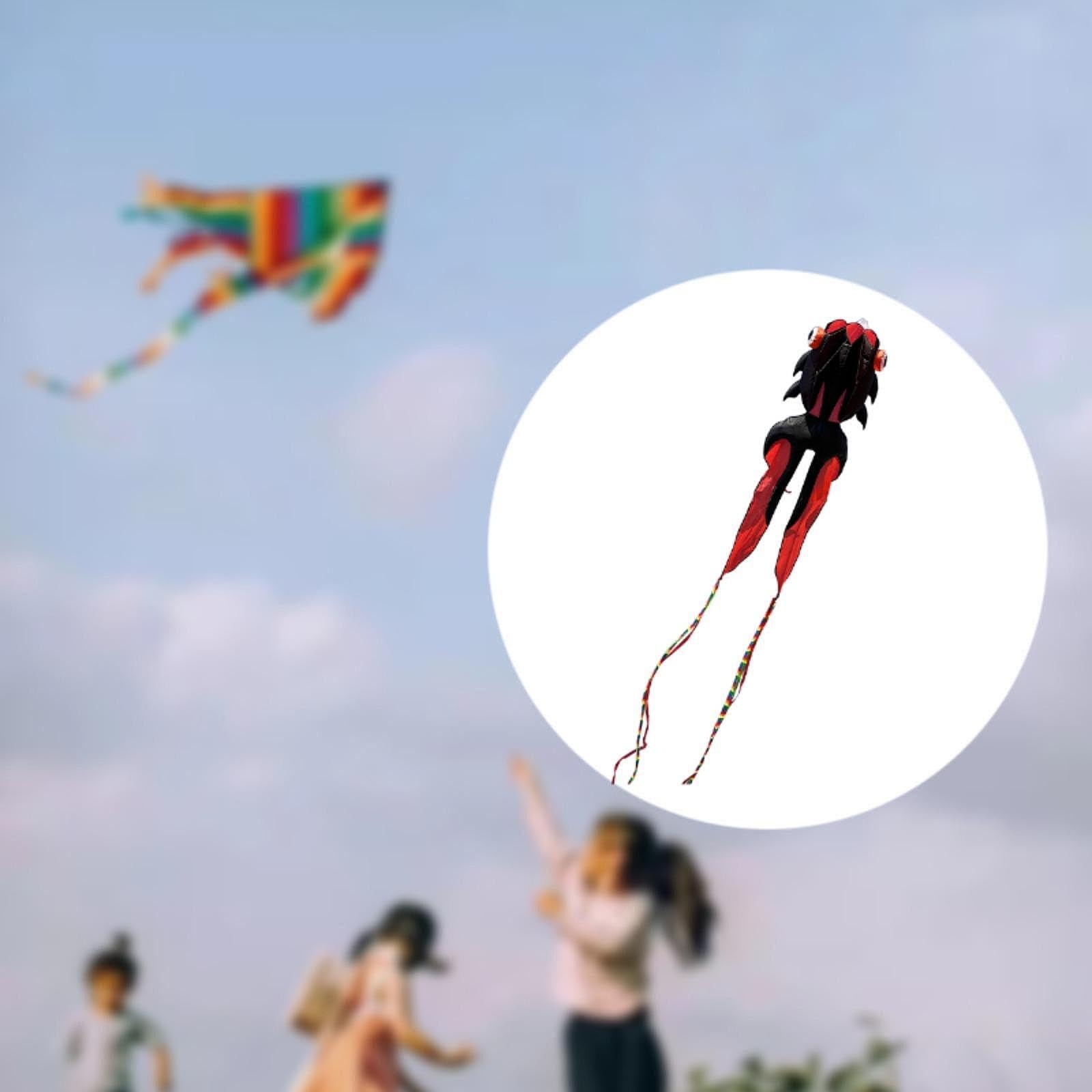 Koi pour Les Fêtes En Plein Air et Les Activités de Vol, Noir