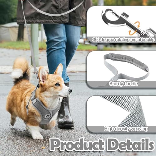Hundegeschirr und Leine Set, Verstellbares Welpengeschirr, reflektierendes Step in Welpengeschirr, Hundegeschirr Kein Ziehen, Geschirre Kleine Hunde mit Leine, für Kleine Hunde, Katzen