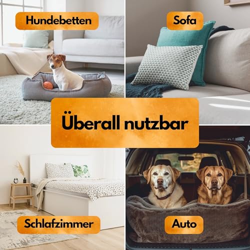 Floh Stopp Spray – 100 ml – Hoch konzentriert – Flohspray für Wohnung und Möbel – LANGZEITWIRKUNG – Für Innen & Textilien – Anti Flohspray – Flohabwehr - Flöhe bekämpfen - Floh Spray