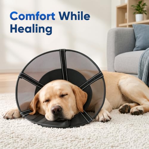 Image of Dog Cone Collar Soft Liner to Stop Licking Surgery Recovery Alternative