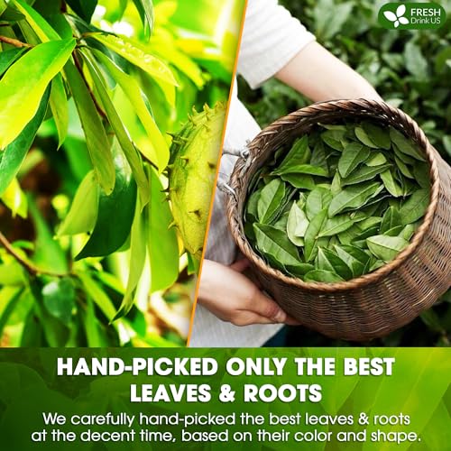 Image of FreshDrinkUS, Premium 40 Tea Bags Soursop Green Tea, 100% Natural & Proprietary Blend from Soursop Leaves and Green Tea. Smooth Flavor. Made with Eco-Conscious Tea Bags. No Additives No Sugar, Vegan.