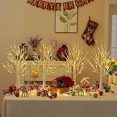 4 Pack 24LT White Birch Trees