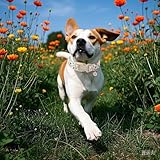 DOGWONG Hundehalsband, Hunde Halsband für Kleine Mittlere und Große Hunde, Komfort Gemustertes Hundehalsbänder Verstellbares