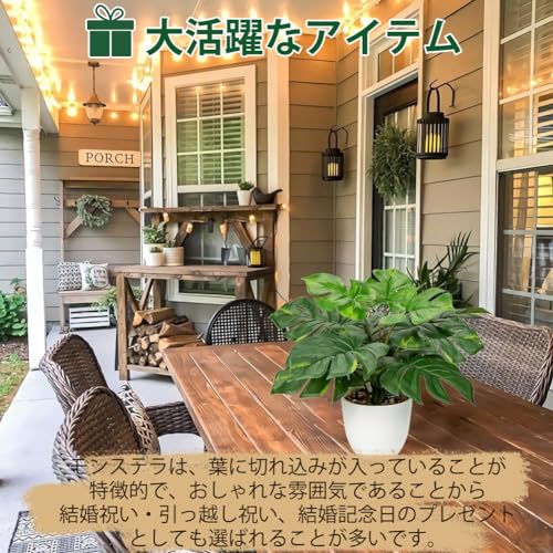 Villa Como フェイクグリーン インテリアグリーン 人工 観葉植物 フェイク モンステラ ヒトデカズラ 室内 大型 簡単保养 水やり不要 害虫駆除不要 おしゃれ ギフト (モンステラ) [5]