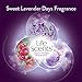 Air Wick Life Scents Freshmatic, Sweet Lavender Days, 6.17oz