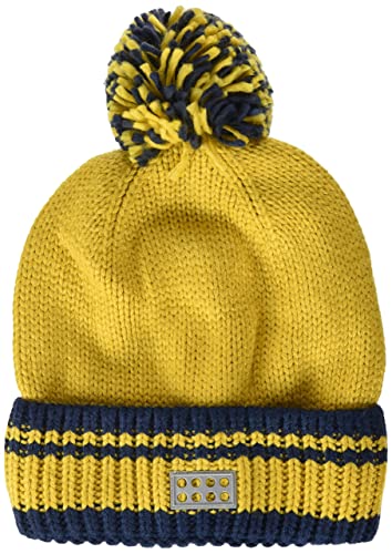 Bonnet en tricot de qualité supérieure offrant confort et protection hivernale durable
