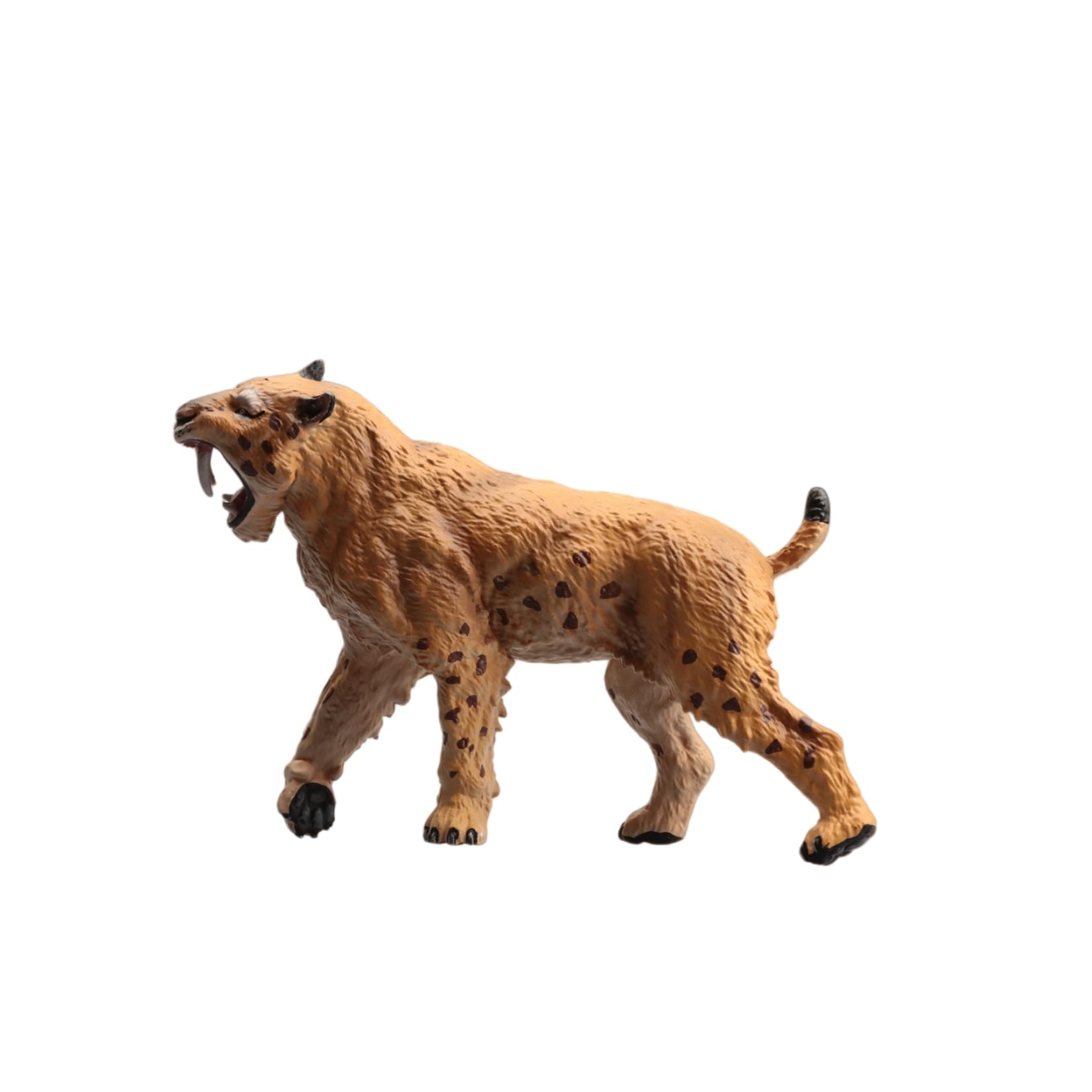 Amazon.co.jp: Earth Story スミロドン 剣歯虎 16.5cm サーベル