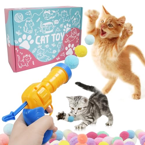 Cat Enrichment Toys The 15 best products compared Wild Explained