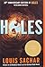 Holes (Hole Series)