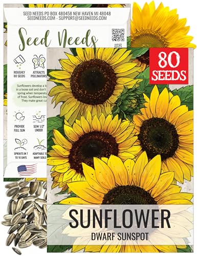 Seed Needs Dwarf Sunspot Sunflower Seeds to Plant Helianthus Annuus 1 Pack