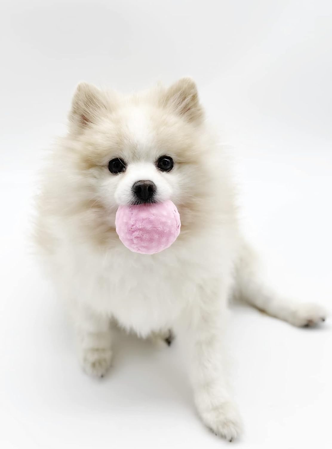 PawfectPals Interactive Squeaky, Funny, Unique, Assortment Plushy Toy for Dogs (Ice Cream Bucket with Scoop)