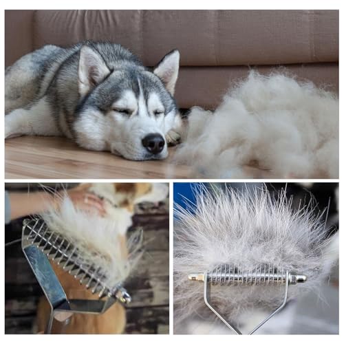 SHYSBV Coat King Harke für Haustiere, 14 Klingen, katzenkamm,professioneller Haustier-Entfilzungskamm, Fellpflege, Abisolierwerkzeug für Hunde und Katzen,Fellwunder Bürste Hund, 6,2 cm, 1 Stück