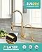Kitchen Faucet and Water Filter Faucet: Brushed Gold Kitchen Sink Faucet with Drinking Water Faucet - Stainless Steel Single Handle Tap with Pull Down Sprayer for Kitchen Sink Farmhouse Bar