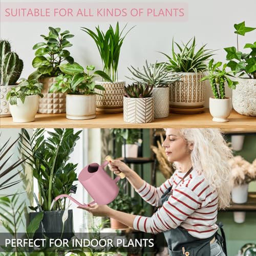 Image of Watering Can Indoor Plants, 35oz Small Indoor Stainless Steel Metal Watering Can Modern Decorative Watering Pot with Long Spout for Indoor House Plant Bonsai Garden Flowers (Pink)