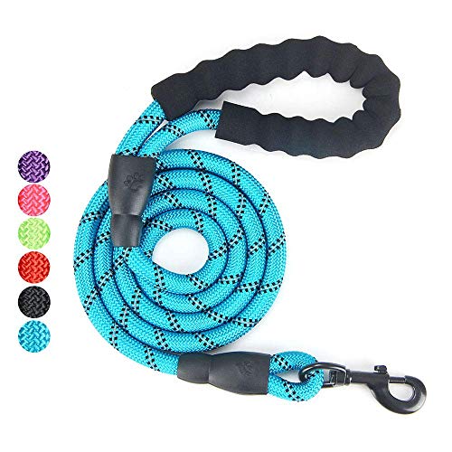 Free Shipping Over $50 Gift Set for Dog Walking, Car Travel, Hiking, Camping – 5 FT Reflective Dog Leash, Adjustable Car Seat Belt and Collapsible Dog Cat Bowl-Blue
