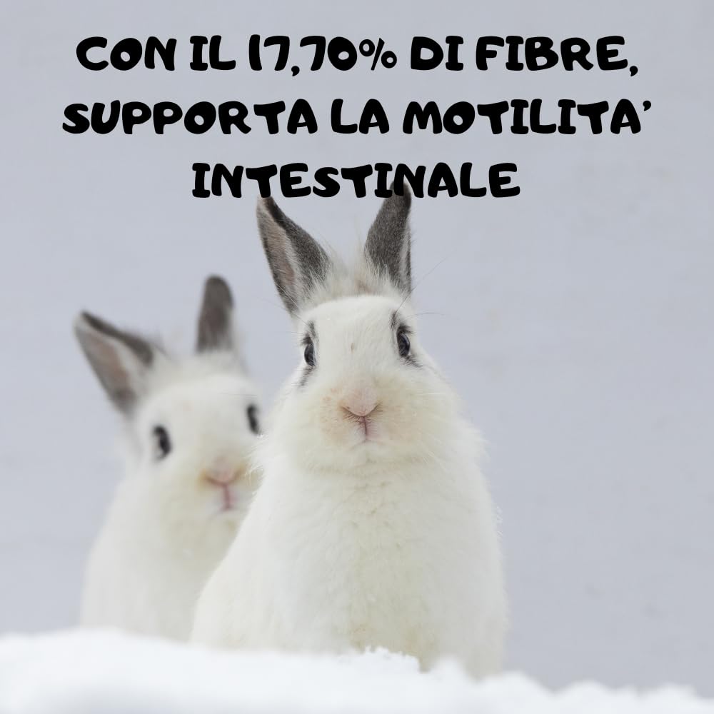 Badia Mangime per Coniglio: Confezione da 10 kg di Nutrizione Equilibrata per Conigli e Conigli Nani, il Cibo Essenziale per il Benessere dei tuoi Piccoli Amici!