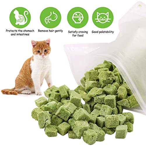 Havenfly Katzengras Snack,120g Gefriergetrocknet Snacks für Katzen für die Zahnpflege und Haarknäuel Entfernen, Katzenminze