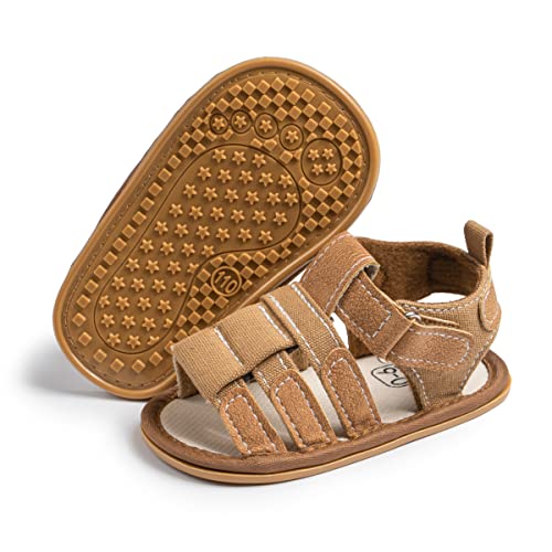 Zoolar c j̎q ̎q T_ ʋC v~A xr[  AEghA JWA r[`V[Y y c t[  ~ o[\[ V vEH[J[ t@[Xgxr[xbh V[Y, A4/uEB, 3-