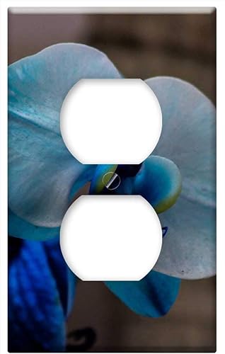 Tapa de salida de placa de orquidea - Orquidea Flor orquídea jardín planta exótica