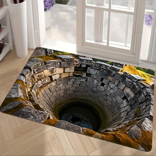 boiszeda Paillasson 3D Illusion Optique, Tapis Maison à Motif Pierre, Matelas Illusion Créatif,...