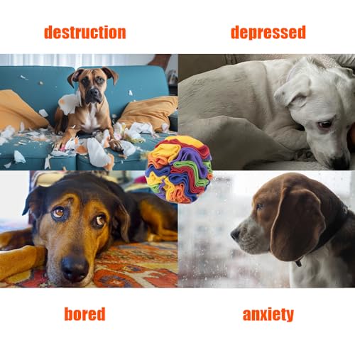 KINGGOO Schnüffelball für Hunde, Intelligenzspielzeug, Interaktives Spielzeug für Langeweile, für Kleine und Mittelgroße Hunde, Langsames Füttern, 20cm