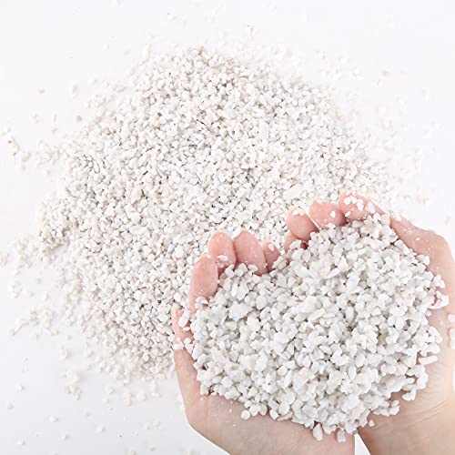 Image of 7lb White Cactus Pea Gravel Rocks,1 /4 Inch Pebbles for Indoor Plants, Natural Succulent Rock and River Rocks Decorative for Aquariums, Vases, Outdoor Gardening, Top Dressing for Potted Plants