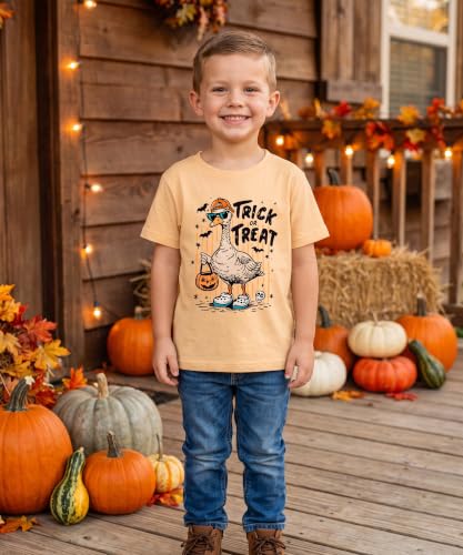 Image of Boys Short Sleeve Funny Graphic Tees for Toddler to Big Kid