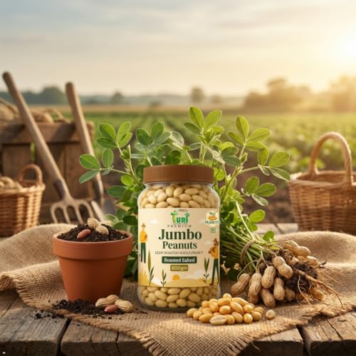 Image of Turf Fresh Jumbo Roasted Salted Peanuts, 600g x 2 Jar