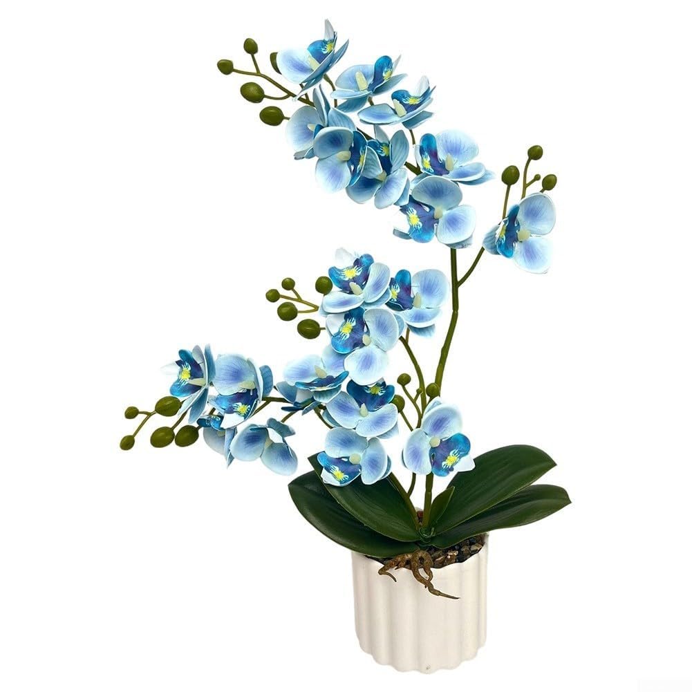 STUWBPLIC 1 Artificial Phalaenopsis Orchid Plant, Fake Plastic Phalaenopsis Plant for Home Decoration,C