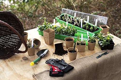 Meister Pikier-Set 2-teilig - Bestehend aus Pikierstab & Pikiergabel - Zum Versetzen von Setzlingen - Aus hochwertigem Kunststoff / Pflanzhilfe / Gartenwerkzeug zur Aussaat / FLOR78850