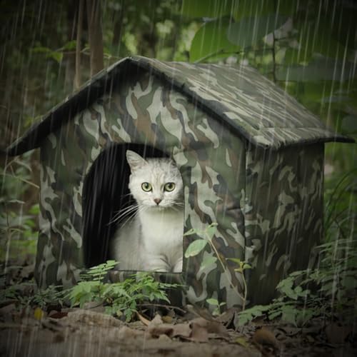 SOLLENTy2026VJzOLLbgnEX OLnEX O ybgnEX ~ h J悯 h hJ ǔL  L~΍ ~p  ǔLVF^[ L̉ƃeg (L,1)